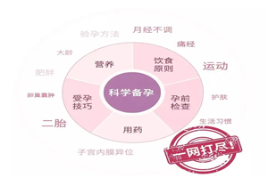 1585492733867700.jpg 1.jpg